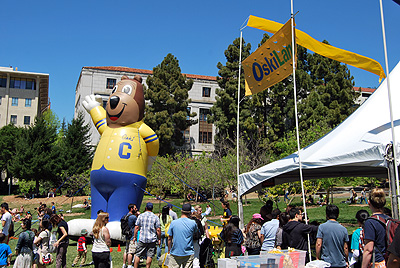 Oski Bear Oski Bear